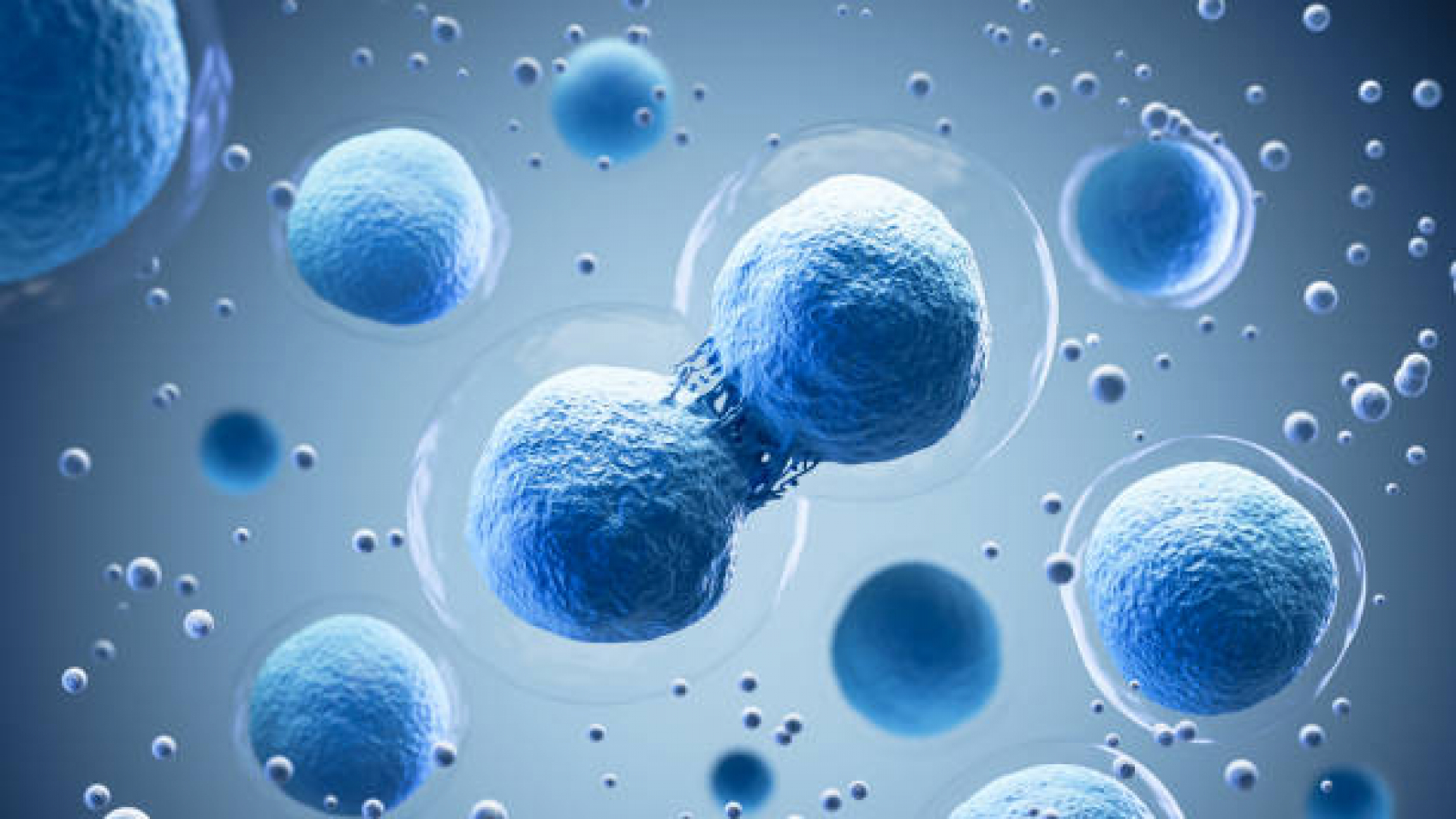 3d rendering of Human cell or Embryonic stem cell microscope background.